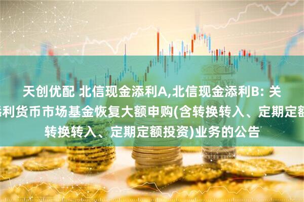 天创优配 北信现金添利A,北信现金添利B: 关于北信瑞丰现金添利货币市场基金恢复大额申购(含转换转入、定期定额投资)业务的公告
