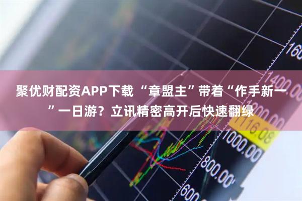 聚优财配资APP下载 “章盟主”带着“作手新一”一日游？立讯精密高开后快速翻绿